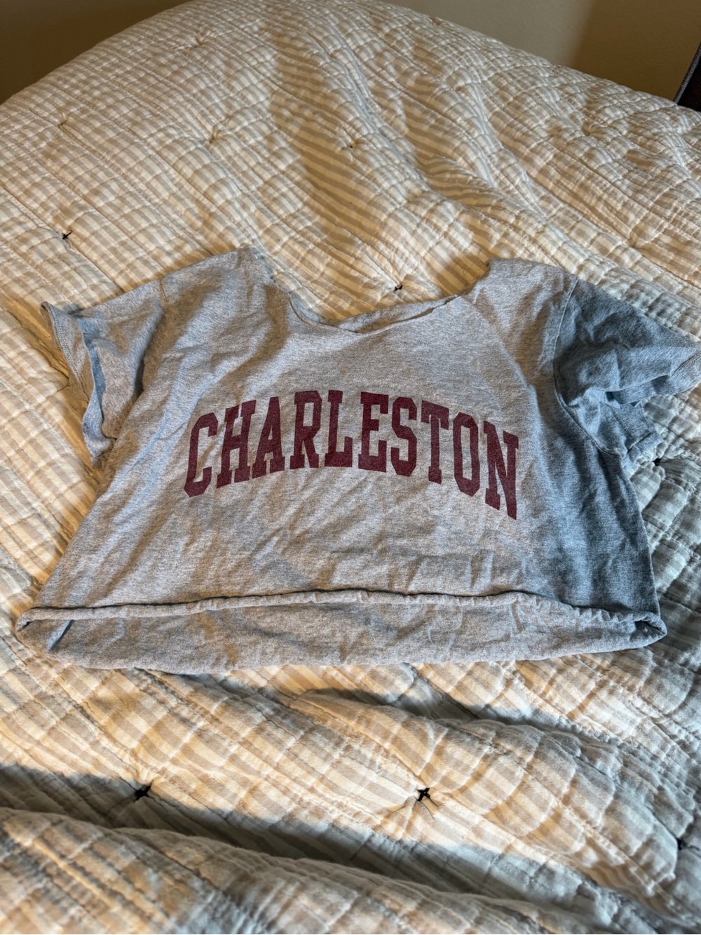 Gray "Charleston" Short Sleeve Crop Tee from brandy melville